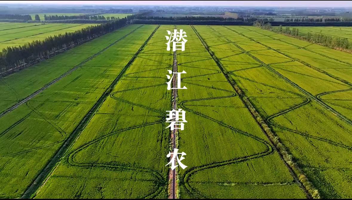 潜江碧农智慧农业